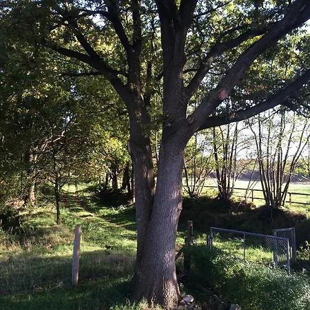 Wacken Ferienhaus Wacken